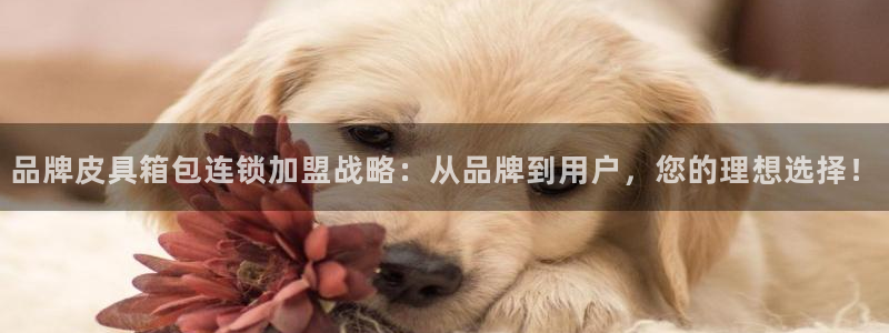 意昂体育3平台假的吗是真的吗