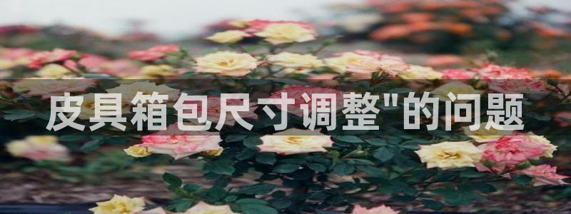 意昂体育3招商电话地址查询