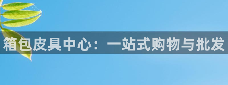 意昂平台体育