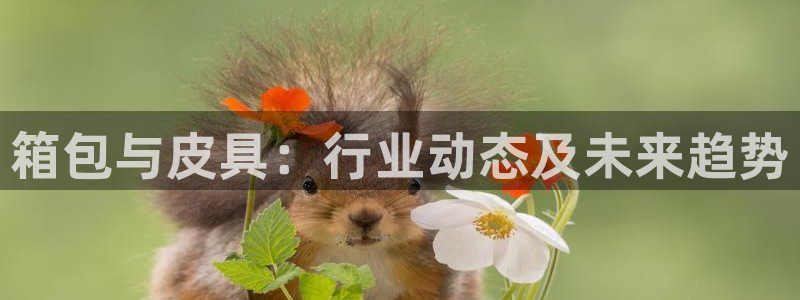 意昂体育3招商电话号码查询