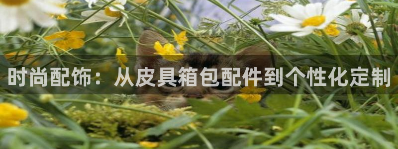 海南意昂体育3