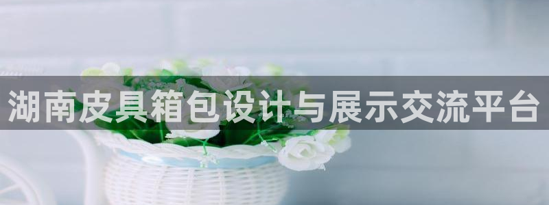 德国意昂3集团