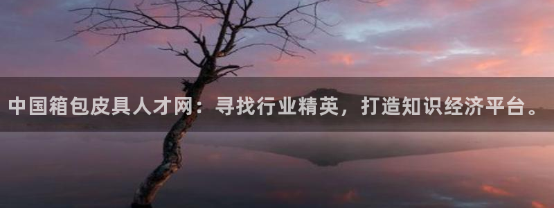 意昂平台体育