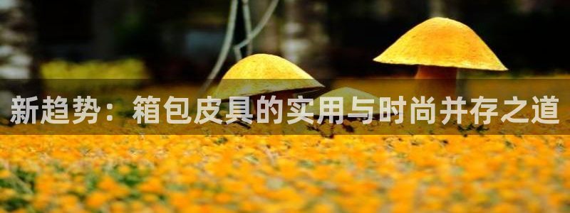 意昂体育3招商电话是多少