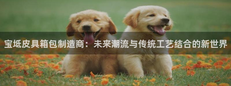 意昂体育3开户