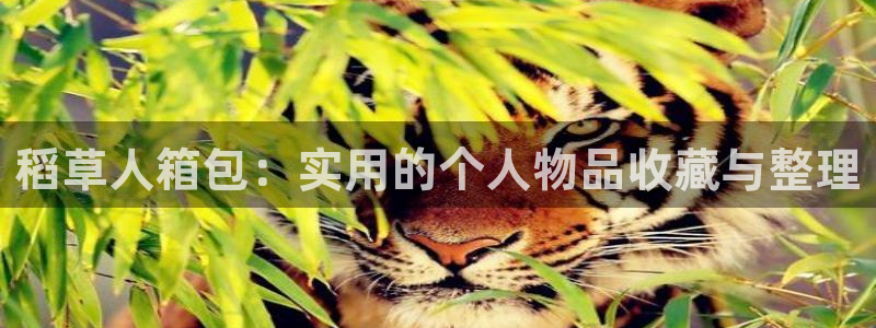 意昂3娱乐代理怎么样
