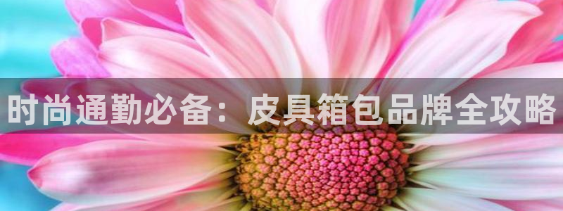 德国意昂3集团