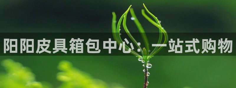 意昂体育3开户