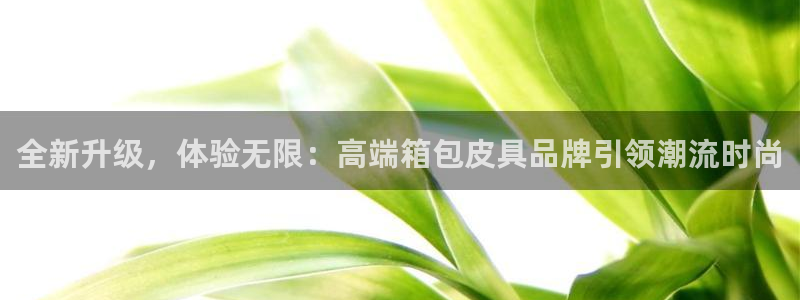 意昂体育3招商电话地址