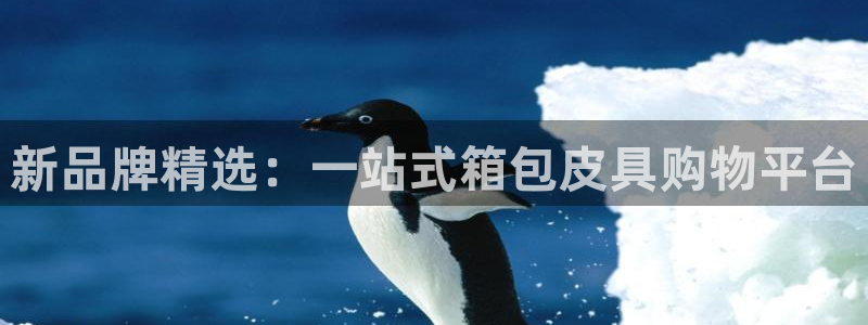 意昂体育3招商电话