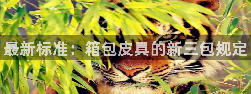 意昂平台体育