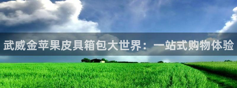 意昂3神州