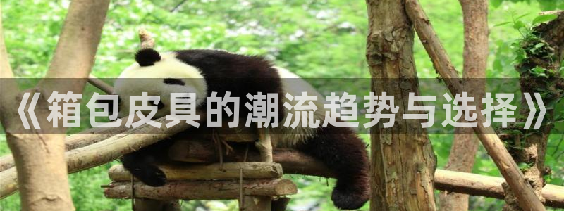 意昂体育3招商电话号码
